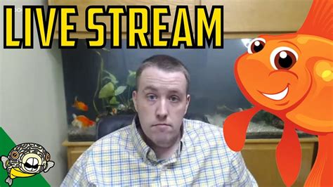 Breeding Fish - Real Fish Talk Live Stream Q&A #2 - YouTube