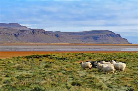 Westfjords, Iceland: One Day Itinerary, Map & Tips