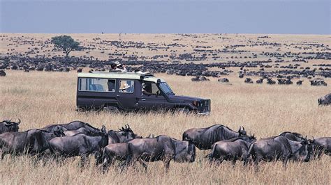 Maasai Mara National Reserve | Kenya Safari Destinations