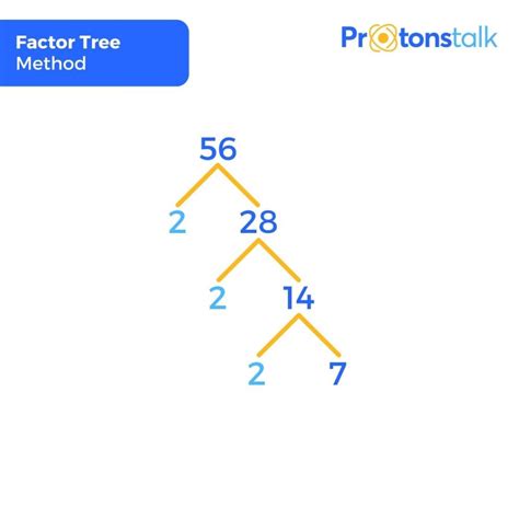 Tree Factor Ltd