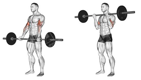 Barbell Upper Body Workout - Meanmuscles