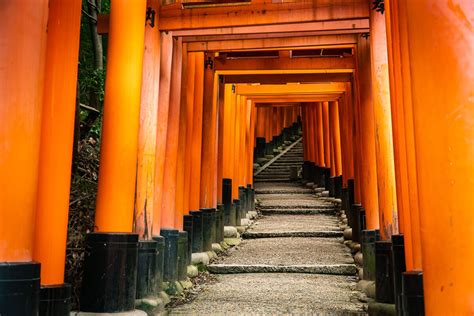 Hiking to the Top of Fushimi Inari in Kyoto - Worldwide Walkers