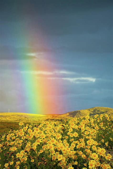 Sunshine and Rainbows on the Carrizo Photograph by Lynn Bauer | Pixels