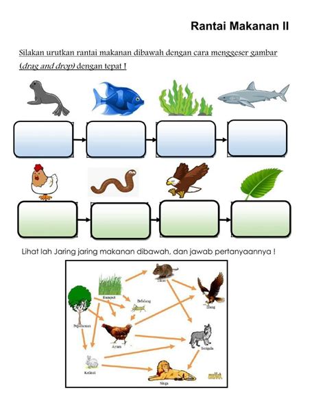 Lkpd rantai makanan interactive worksheet – Artofit