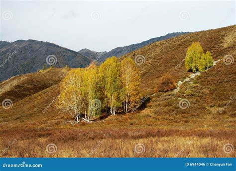 Pasture land stock photo. Image of fall, hamlet, altai - 6944046