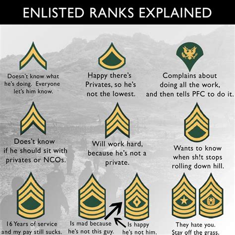 joed205: US MILITARY RANK EXPLAINED