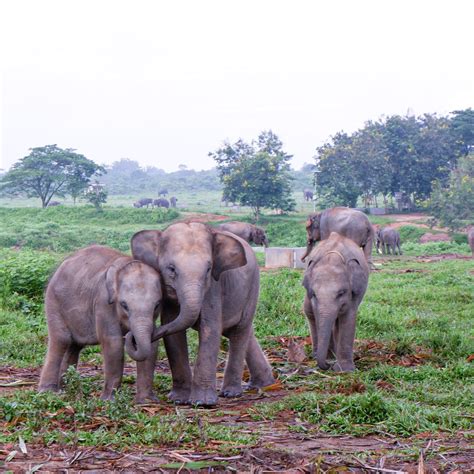 Sumatra - Indonesia Travel