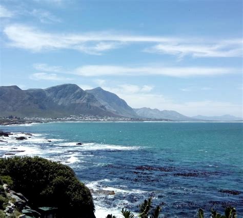 Things to do in Hermanus - Attractions in Hermanus