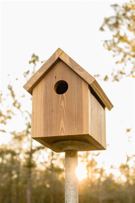 Easy DIY Birdhouse Plans - Step by Step Building Directions