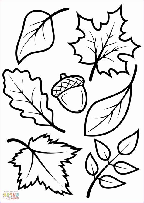 Coloring Sheets for Fall Fresh Coloring Book Excelent Leaf Sheets Pages ...