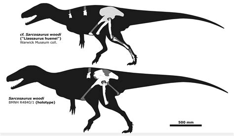 Sarcosaurus specimens by AlternatePrehistory on DeviantArt