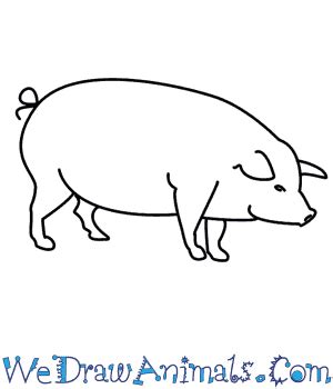 Wefalling: Pig With Wings Easy Drawing