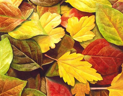 Free photo: Autumn leaves - Autumn, Backdrop, Brown - Free Download ...