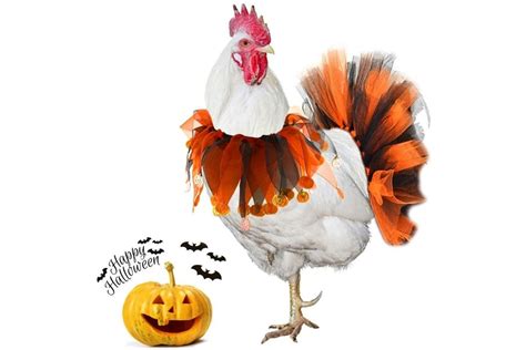 10 Chicken Costumes to Get Your Coop Ready for Halloween