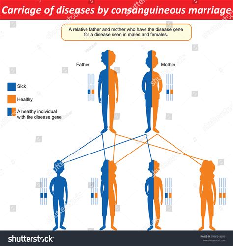 66 Consanguineous Marriage Images, Stock Photos & Vectors | Shutterstock