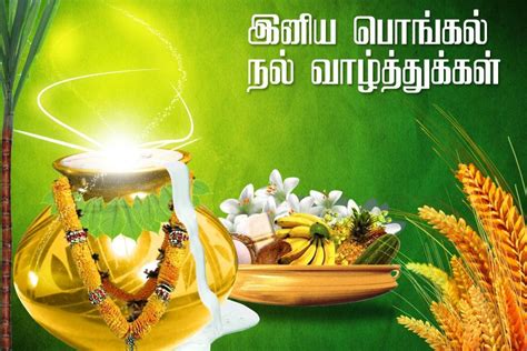 Pongal Wishes In Tamil | Happy Pongal Tamil Wishes Images | Tamil ...