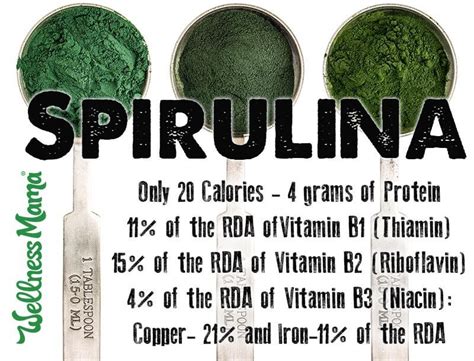 Spirulina Benefits: 7 Reasons to Try It (& 1 Major Caution) Wellness Mama