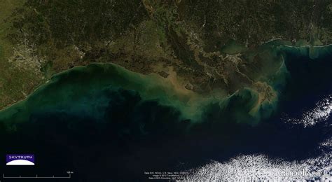 Gorgeous Gulf of Mexico – Today’s MODIS Image – SkyTruth