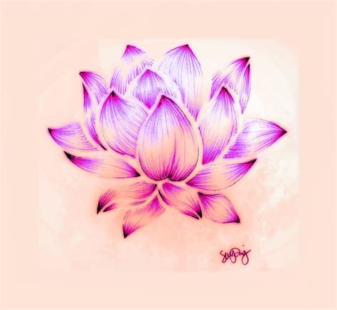 Lotus Flower Drawing - Sara Riley | Fotos de flores, Flores, Foto