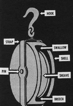 Types of Sheaves and Their Applications - Holloway Blog: Your Gateway ...