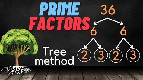 Prime factorization using the Tree method - YouTube