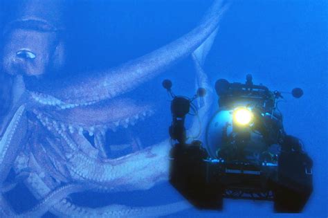 Legends of the Deep: The Giant Squid - American Conservation Film ...