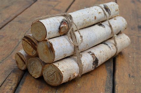 White Birch Logs 6 White Birch Logs Rustic Craft Supply - Etsy