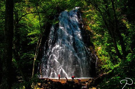 15 Best Hiking Trails In North Carolina