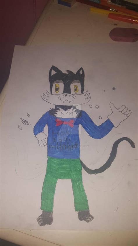 midnight the cat by nekoshadow123 on DeviantArt