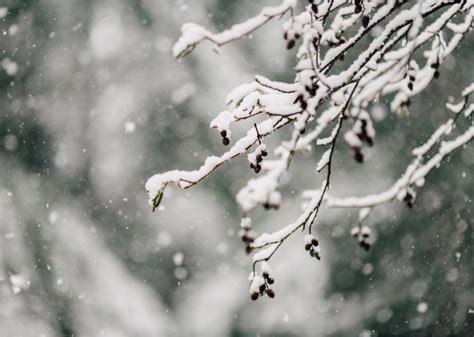 Biggest Snowfall Recorded in Mahnomen County, MN History | Stacker