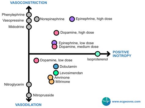 Inotropes and Vasopressors: Doses, indications, contraindications and ...