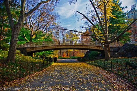 Central Park, New York: One of the World's Most Famous Urban Parks ...