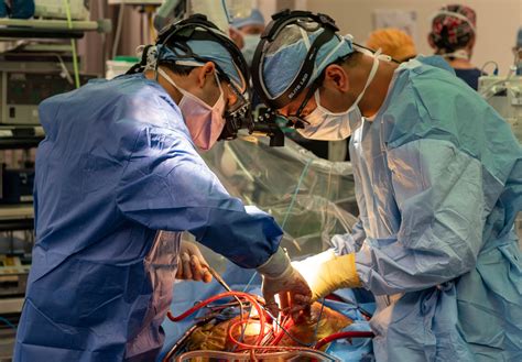 MUSC Surgeons Perform First DCD Heart Transplant in South Carolina ...