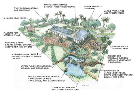 one-acre | Farm | Farm layout, Homesteading, Homestead layout