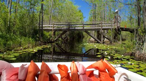 Okefenokee Swamp Park Package Deals | Orbitz