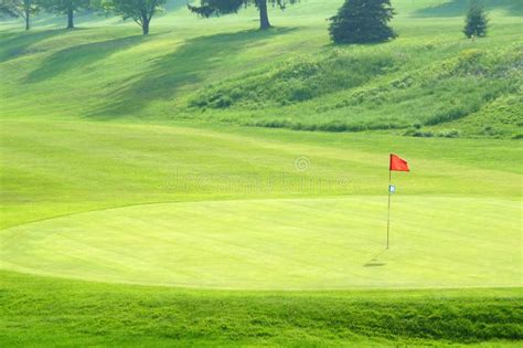 Golf course green stock photo. Image of golf, flag, lawn - 20193994