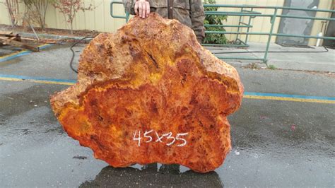 Burl Wood Table | Redwood Slab | SL-603 | Redwood Burl Inc.