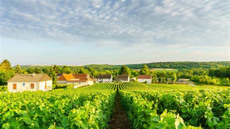 The Beginner's Guide to Visiting Champagne | Condé Nast Traveler