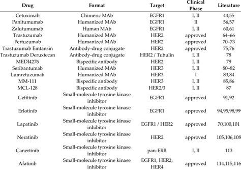 Targeting therapy against EGFR family in breast cancer under ...