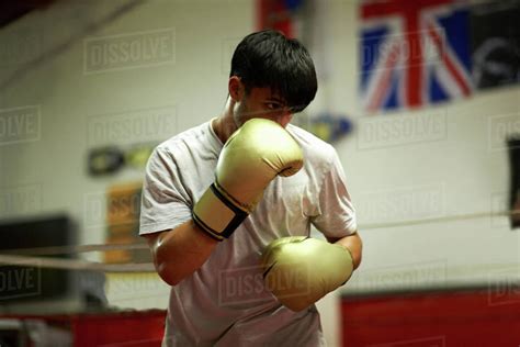 Boxer practising in boxing ring - Stock Photo - Dissolve