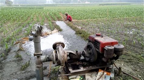 Pentingnya Mesin Irigasi Untuk Drainase Lahan Pertanian - Hasjrat Yanmar