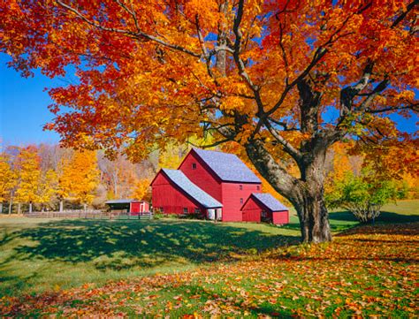 Vermont Autumn With Rustic Barn Stock Photo - Download Image Now ...