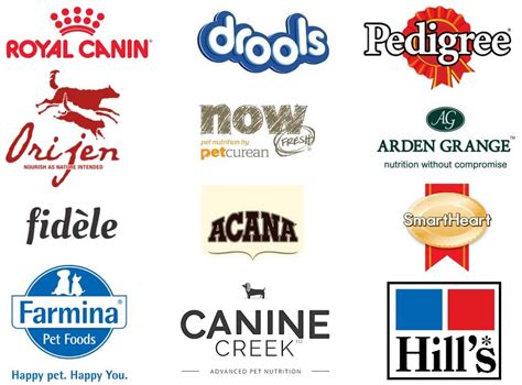 Top Dog food brands available in India and their reviews. - LoyalPetZone