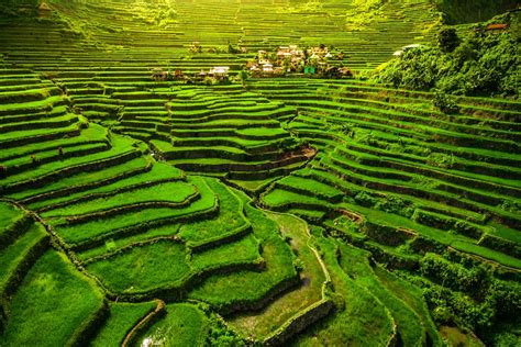 The Breathtaking Ifugao Rice Terraces of The Philippine Cordilleras