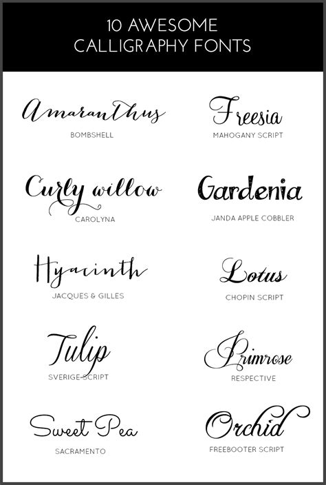 10 AWESOME CALLIGRAPHY FONTS | PINKPOT