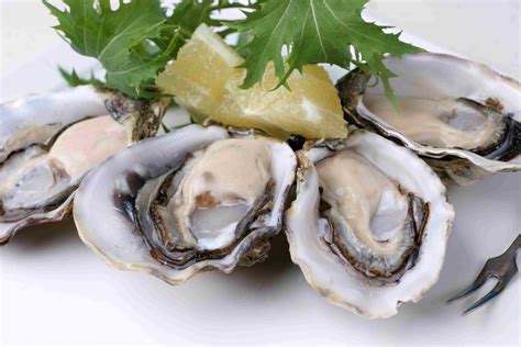 A Guide to the Different Types of Oysters