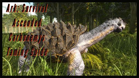 Carbonemys Taming Guide - Ark: Survival Ascended - YouTube