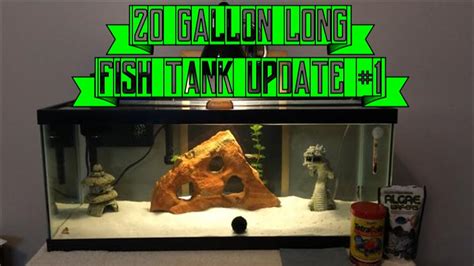 Fish Aquarium Update #1: My 20 Gallon Long Aqueon Tank Set-Up!! - YouTube