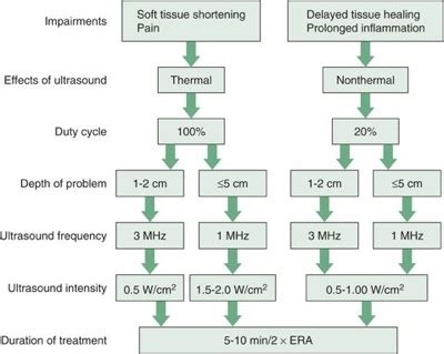 Ultrasound Procedures