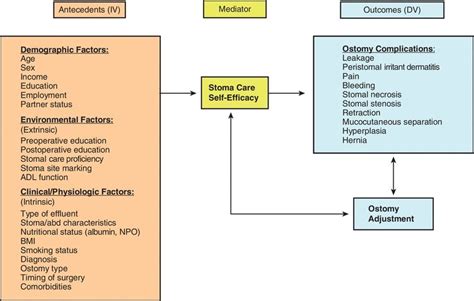 Stoma Complications | Nurse Key